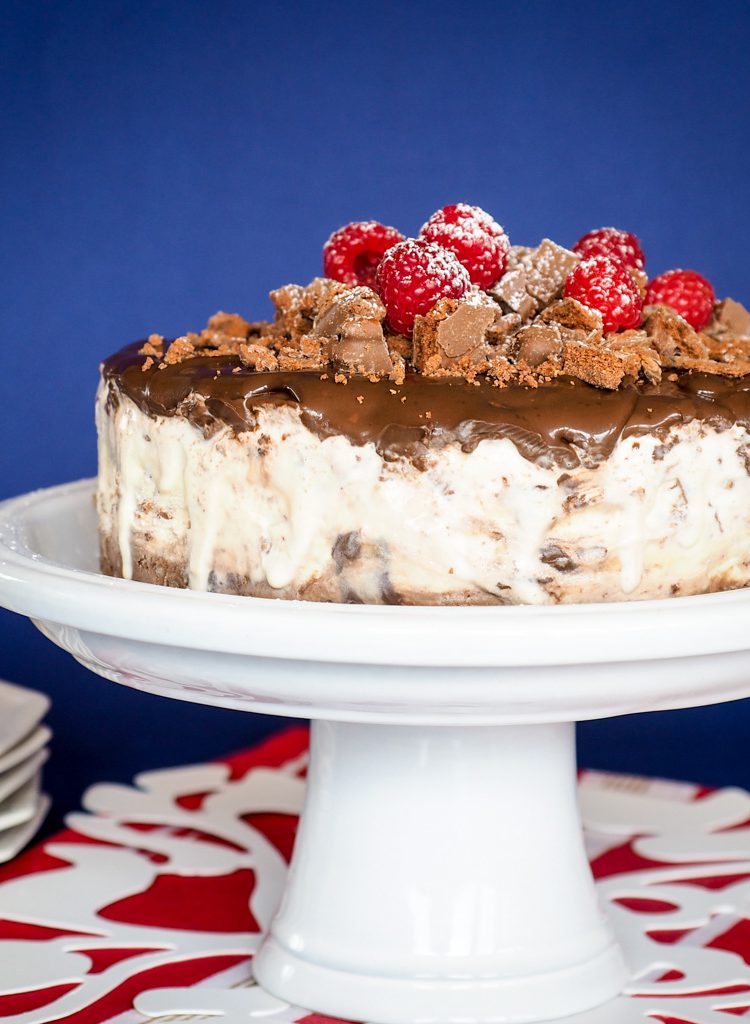 Tim Tam Icecream Cake